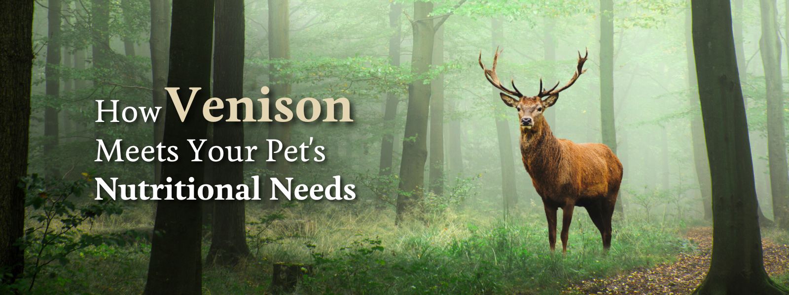 How Venison Meets your Pet's Needs