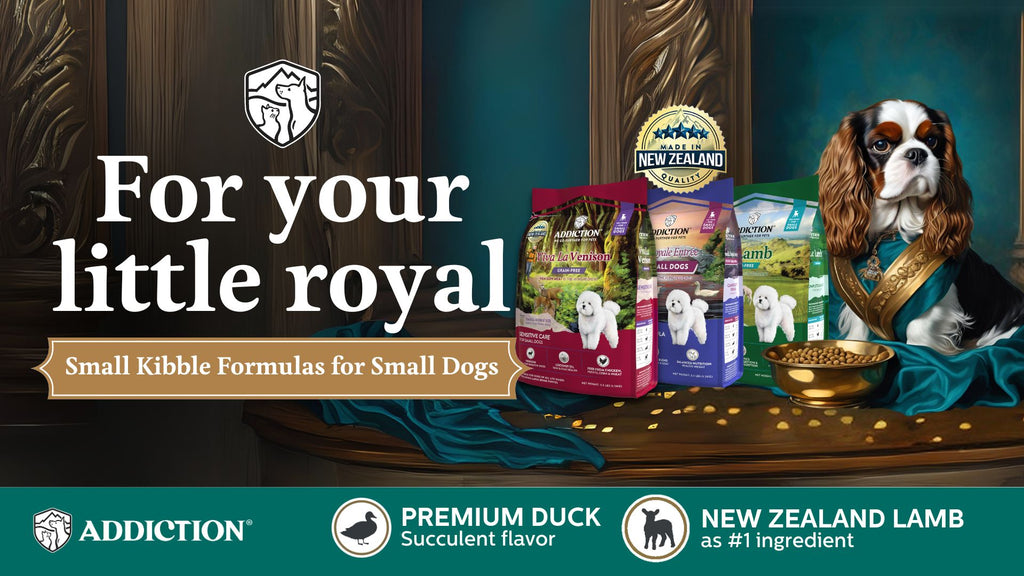 A New Crown for Your Little Royal: Introducing the Small Dog Breed Formula