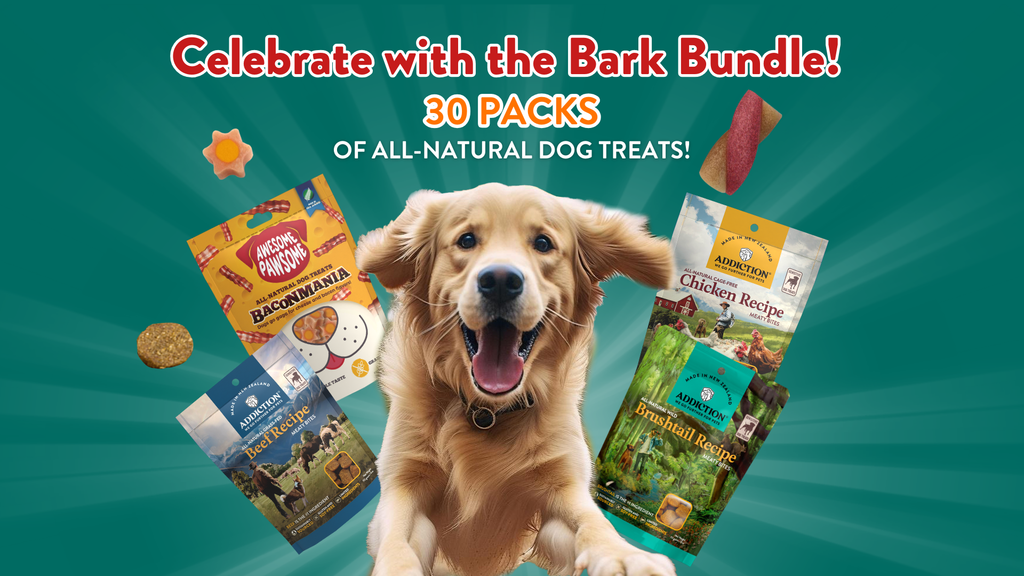 Give Your Buddy the Ultimate Treat This Holiday Season: The Bark Bundle!