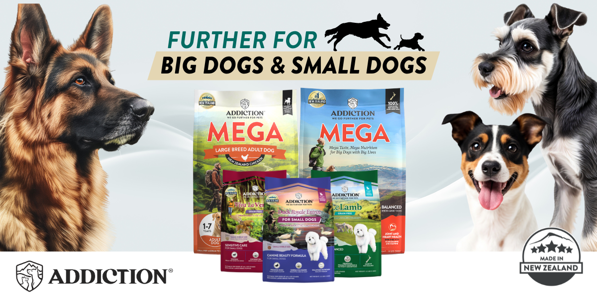 Big Dogs vs. Small Dogs: The Surprising Truth About Their Unique Needs