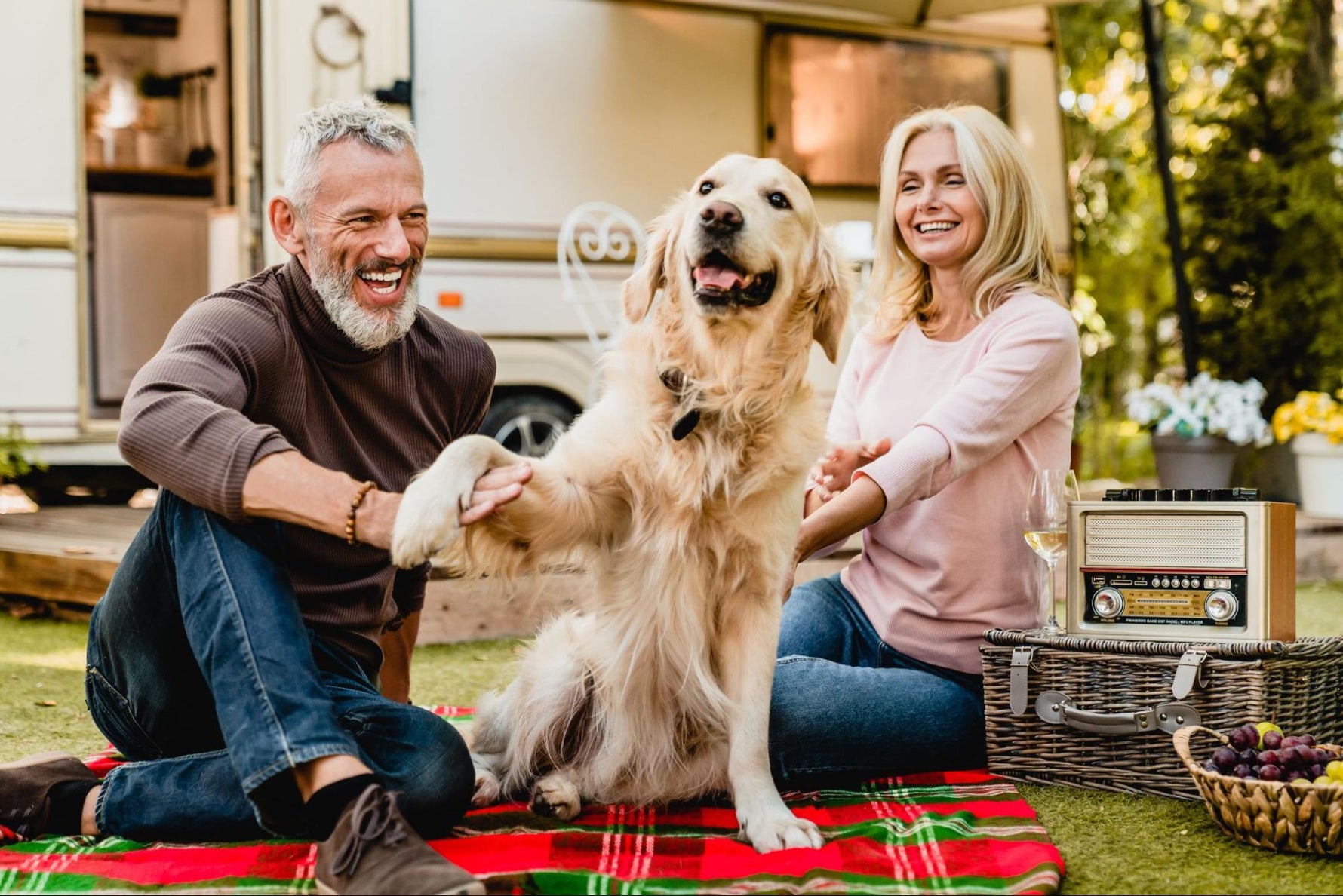 Essential Tips for Caring for Senior Large Dogs in 2024 