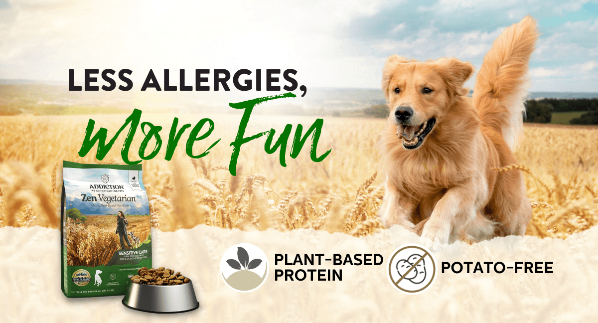 Green Bowl, Happy Pet: Why It's Time to Try Vegetarian Pet Food