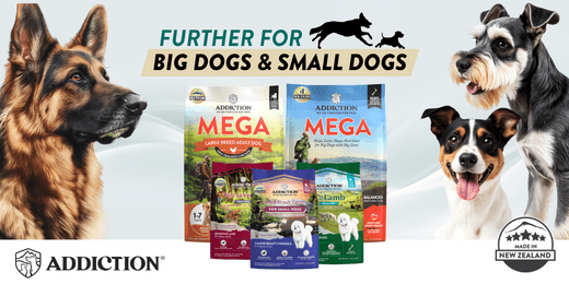 Big Dogs vs. Small Dogs: The Surprising Truth About Their Unique Needs - Addiction Pet Foods USA