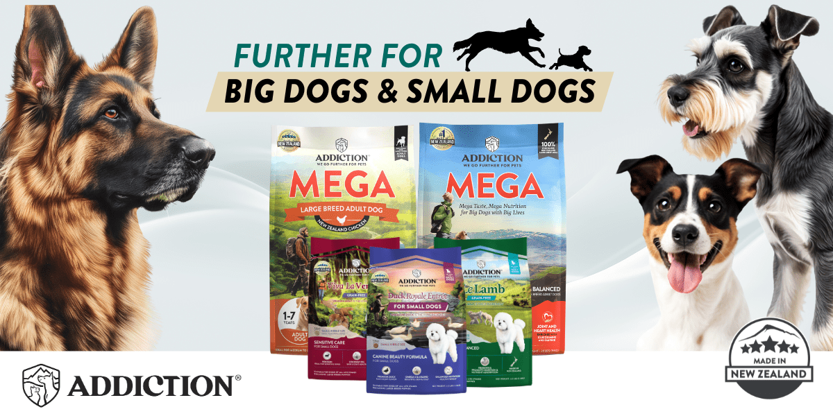 Big Dogs vs. Small Dogs: The Surprising Truth About Their Unique Needs - Addiction Pet Foods USA