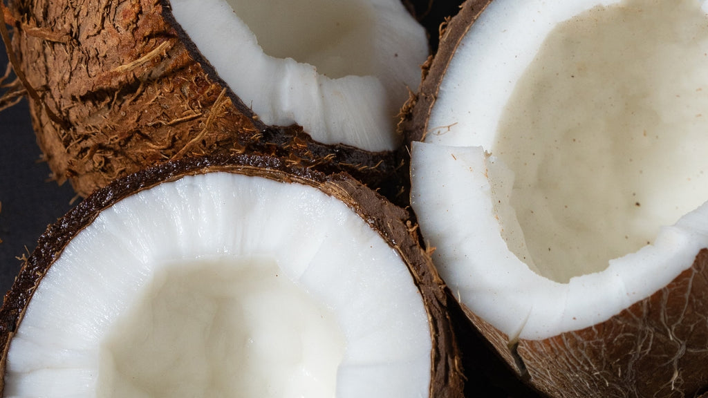 Should you include Coconut oil in your pet's diet?