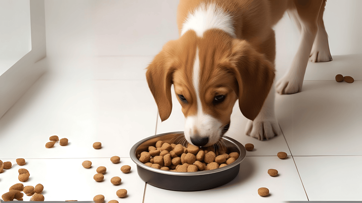 More Than a Bite-Sized Detail: The Importance of Kibble Size for Puppies - Addiction Pet Foods USA
