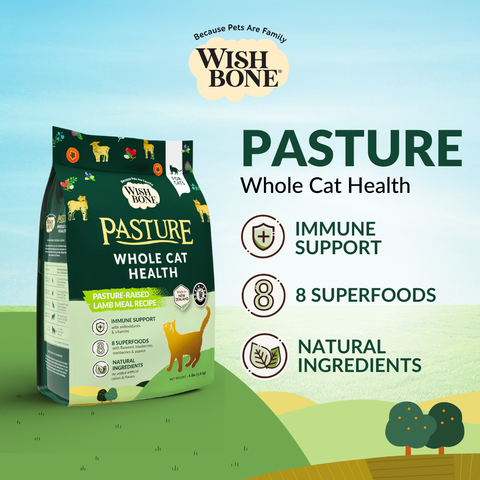 Wishbone Pasture New Zealand Lamb Dry Cat Food - Trial Pack Bundle of 12