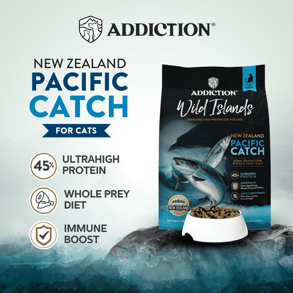 Pacific Catch Premium King Salmon Mackerel & Hoki Dry Cat Food - Trial Pack Bundle of 12