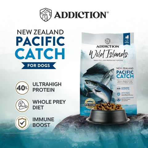 Pacific Catch Premium King Salmon Mackerel & Hoki Dry Dog Food - Trial Pack Bundle of 12
