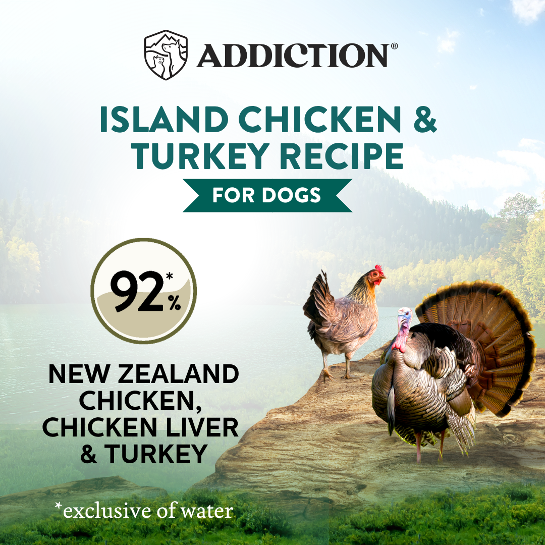 Wild Islands Island Chicken & Turkey Recipe Premium Grain-free Canned Dog Food 185g