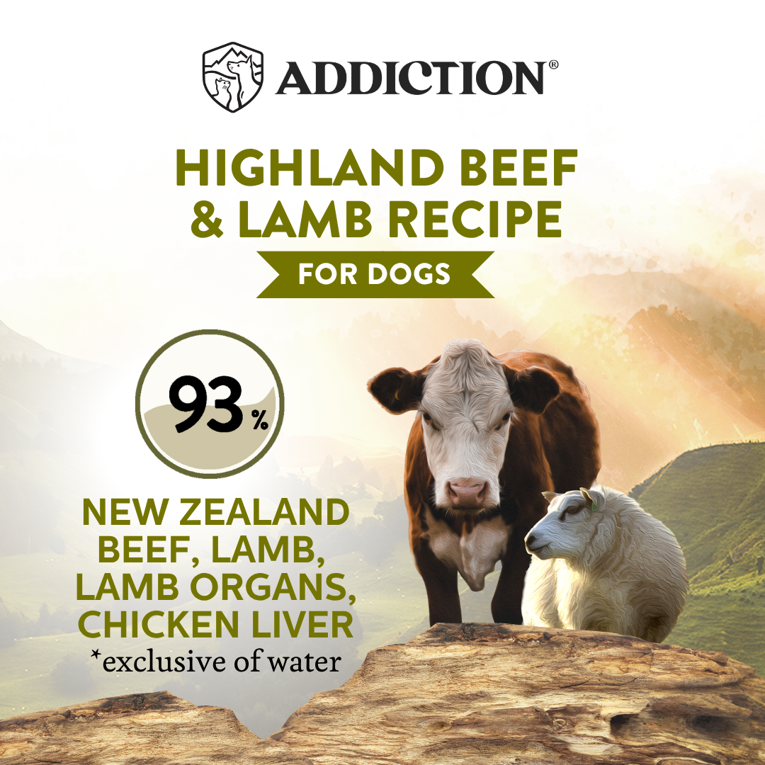 Wild Islands Highland Beef & Lamb Recipe Premium Grain-free Canned Dog Food 185g