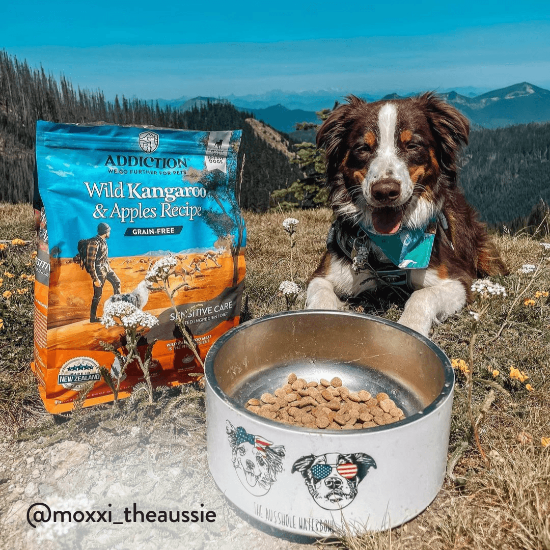Discover Addiction's Wild Kangaroo & Apples dry dog food. Made with real kangaroo meat, it's high in protein, low in fat, and packed with antioxidants. Grain-free and enriched with coconut oil, it supports your dog's health and vitality. Try it today!