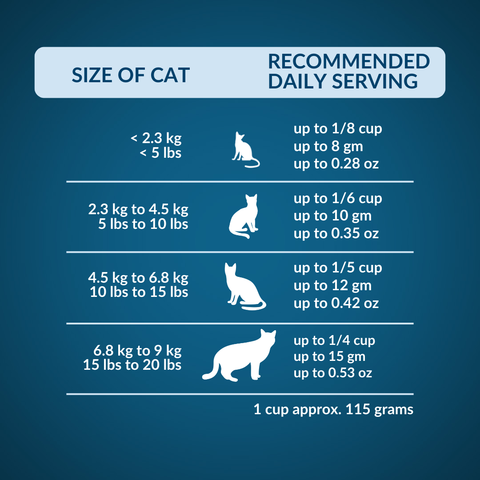 Wishbone Mix & Munch Chicken & Rabbit Cat - 350g