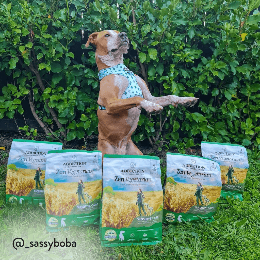 Vegetarian dog shop food