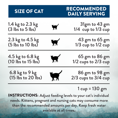 Pacific Catch Premium King Salmon Mackerel & Hoki Dry Cat Food - Trial Pack Bundle of 12