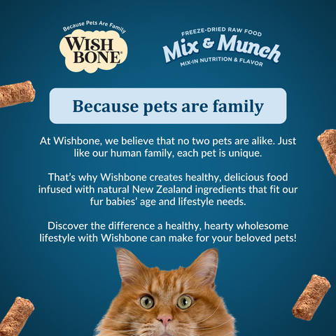 Wishbone Mix & Munch Chicken & Rabbit Cat - 350g