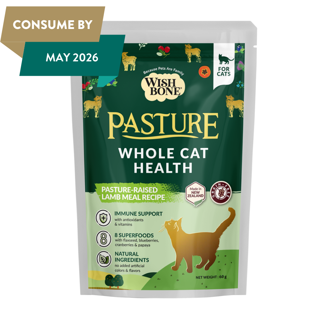 Wishbone Pasture New Zealand Lamb Dry Cat Food - Trial Pack Bundle of 12