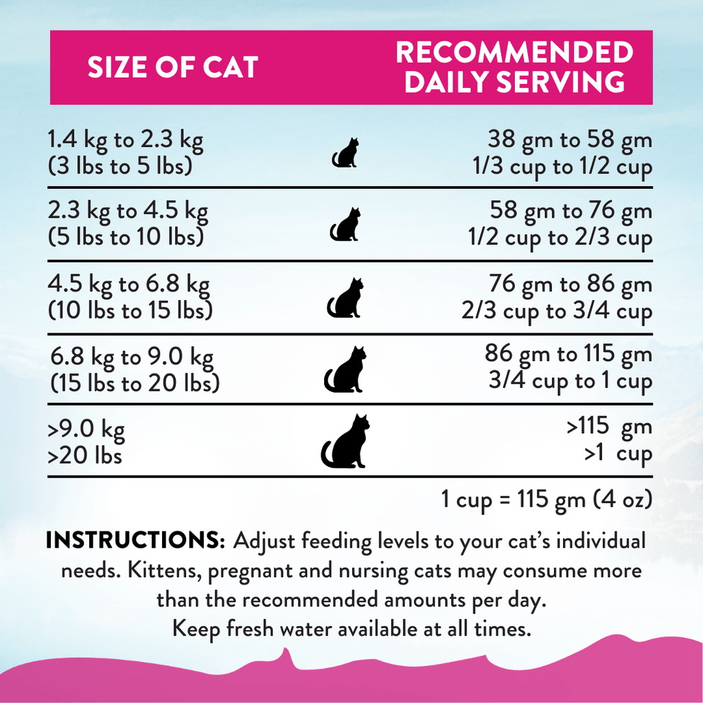 How Much Dry Food to Feed a Cat: Expert Guidelines