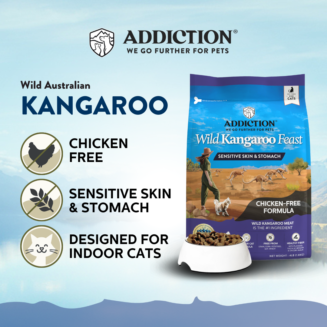 Wild Kangaroo Feast Dry Cat Food