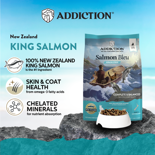 Salmon Bleu Dry Cat Food - Trial Pack Bundle of 12