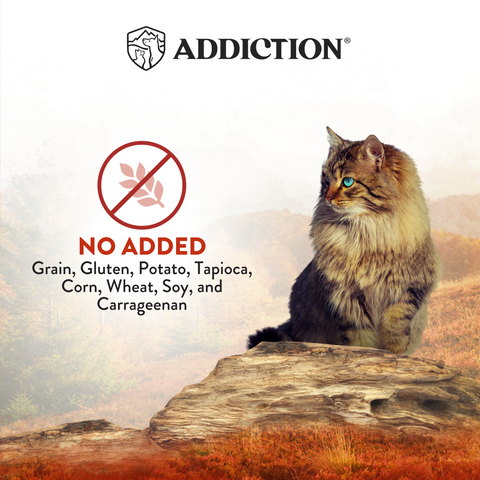 Wild Islands Forest Meat Premium Venison & Beef Grain-Free Canned Cat Food