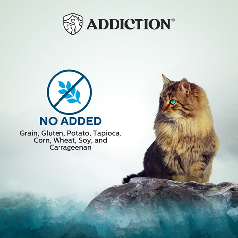 Wild Islands Pacific Catch Premium Ocean Fish & Salmon Grain-Free Canned Cat Food