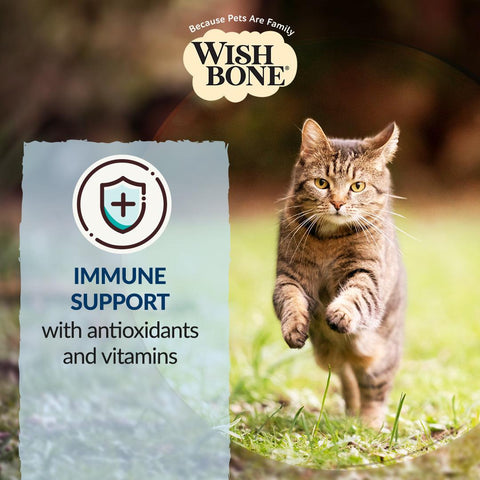 Wishbone Roost Chicken Dry Cat Food