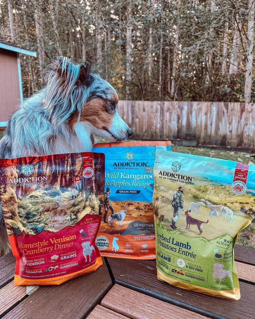 Alternative to grain free dog clearance food