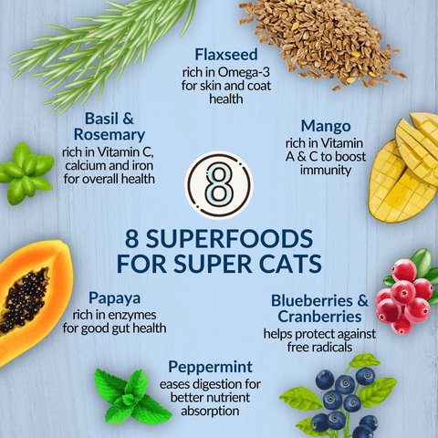 Wishbone Roost Chicken Dry Cat Food