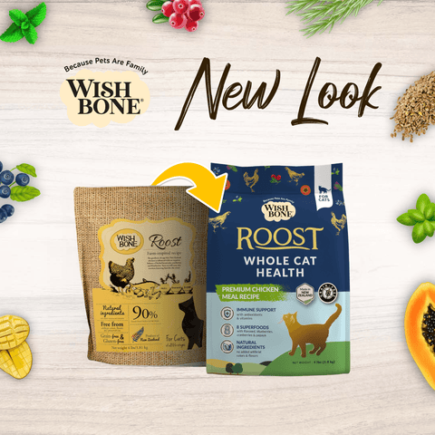 Wishbone Roost Chicken Dry Cat Food