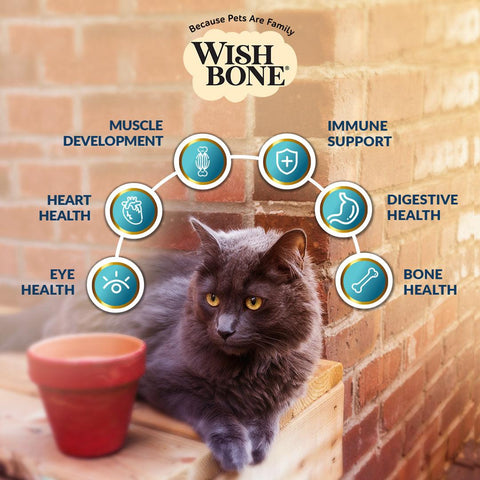 Wishbone Roost Chicken Dry Cat Food