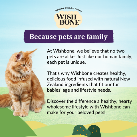 Wishbone Ocean New Zealand King Salmon Dry Cat Food