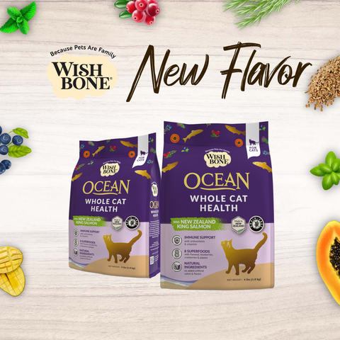 Wishbone Ocean New Zealand King Salmon Dry Cat Food