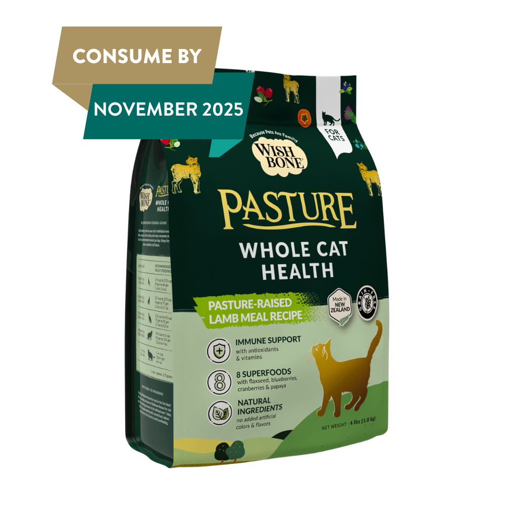 Wishbone Pasture Lamb Cat Dry Food