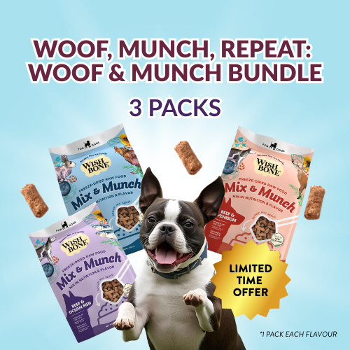 Dog & Cat Variety Bundles – Treats & Meals