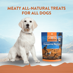 Addiction Kangaroo Air-Dried Dog Food & Treats Duo - Addiction Pet Foods USA