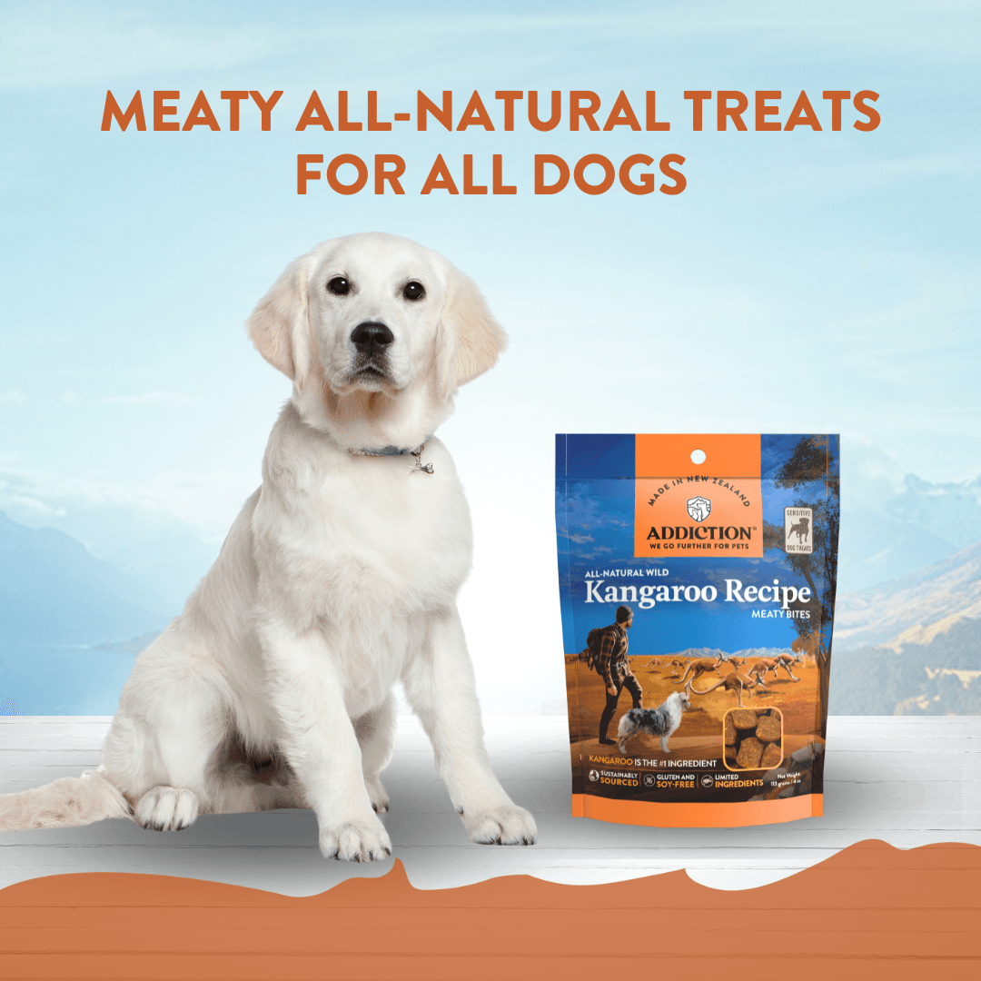 Addiction Kangaroo Air-Dried Dog Food & Treats Duo - Addiction Pet Foods USA