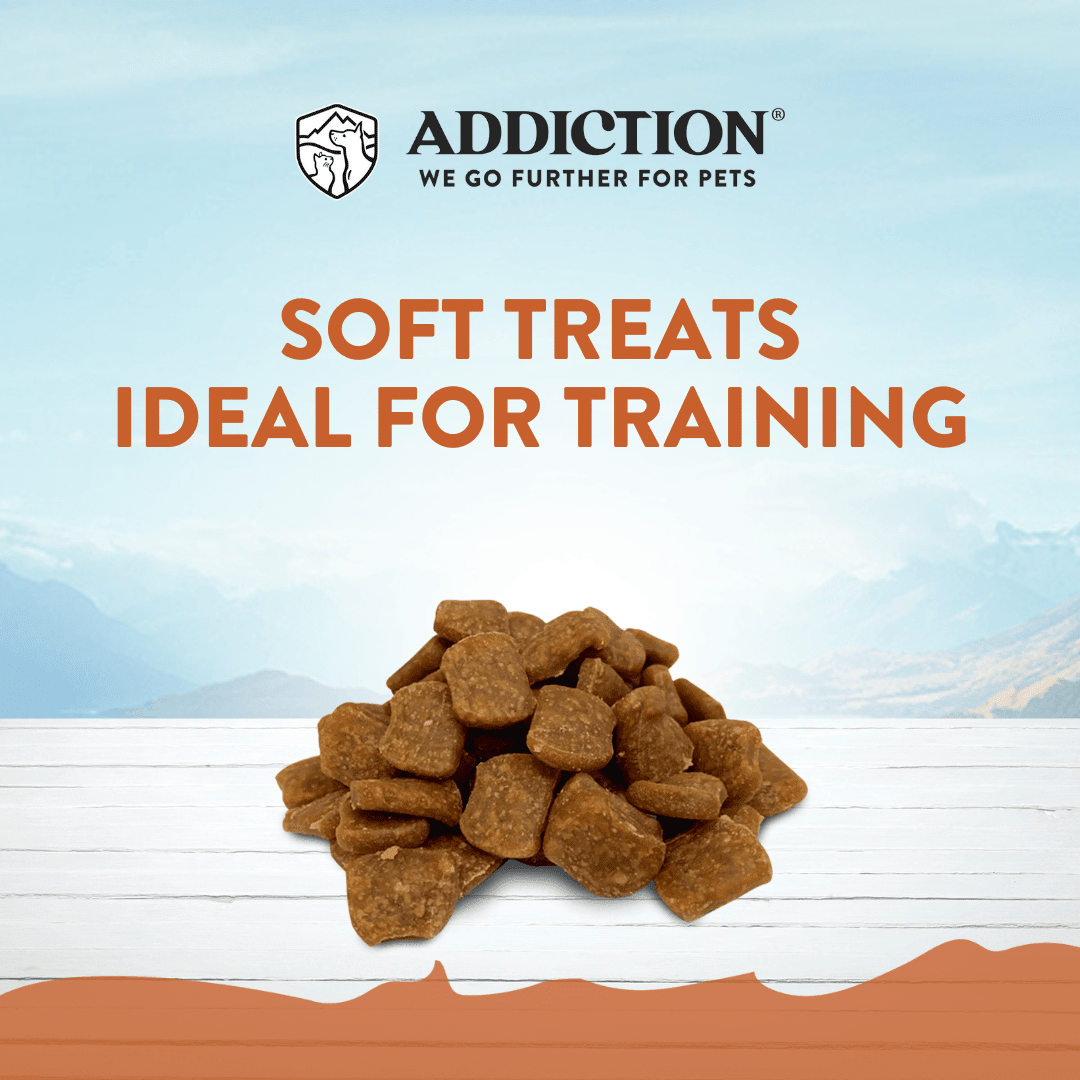 Addiction Kangaroo Air-Dried Dog Food & Treats Duo - Addiction Pet Foods USA