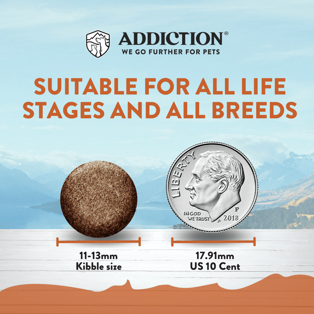 Addiction Kangaroo Dog Food & Treats Bundle - Addiction Pet Foods USA