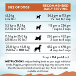 Addiction Kangaroo Dog Food & Treats Bundle - Addiction Pet Foods USA