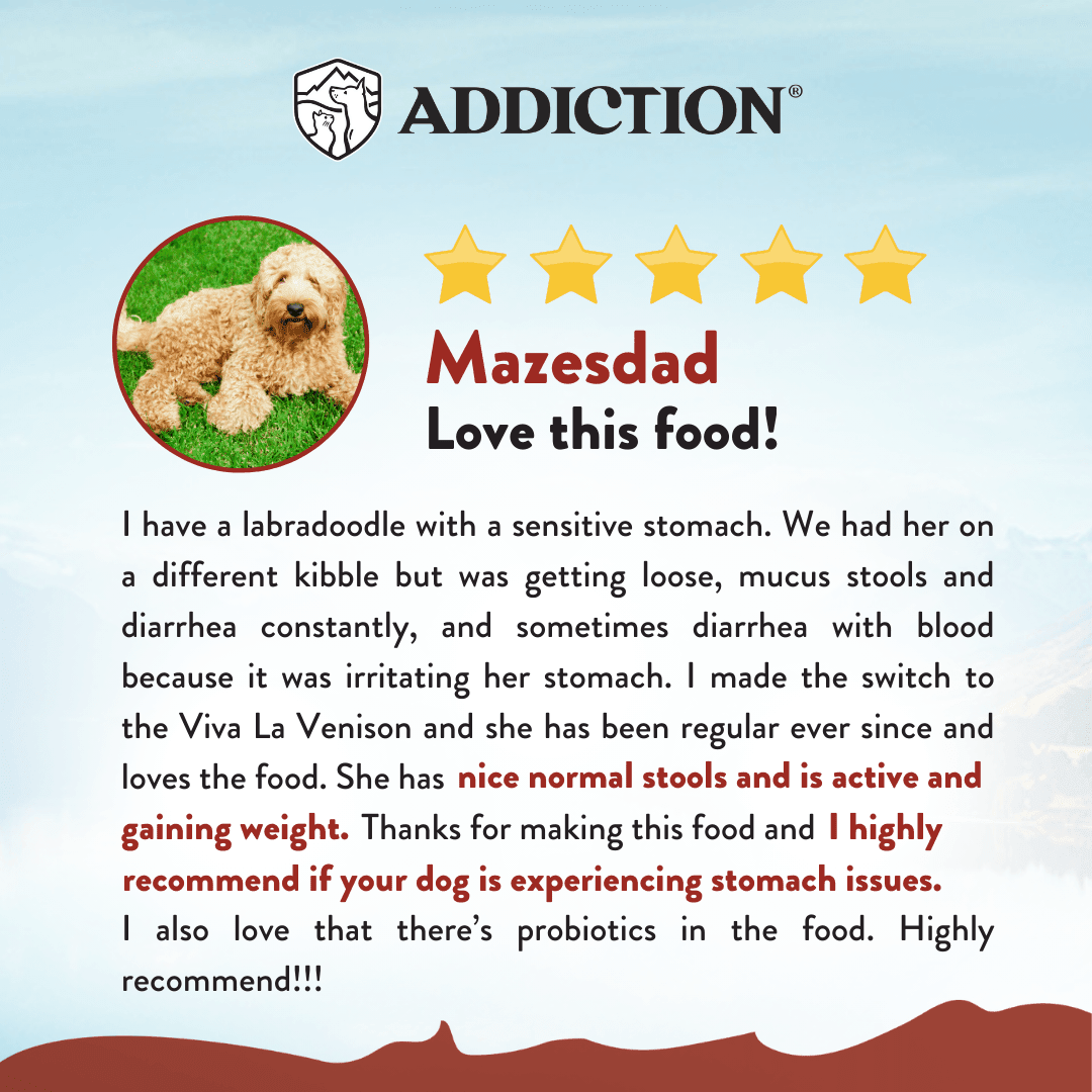 Addiction Viva La Venison Dog Food & Treats Bundle - Addiction Pet Foods USA