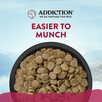 Addiction Viva La Venison Small Breed Dog Food & Meaty Bites Treats Bundle - Addiction Pet Foods USA
