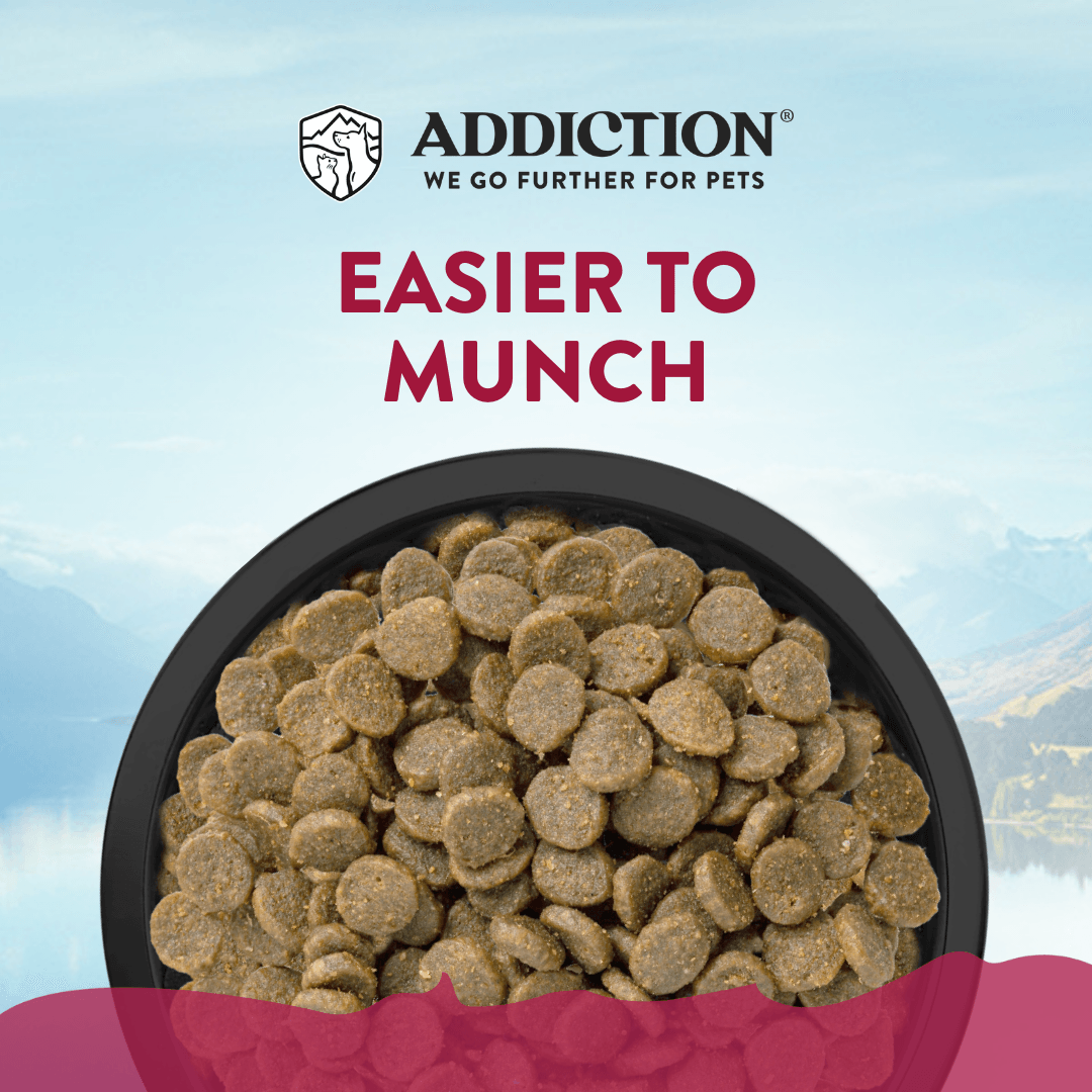 Addiction Viva La Venison Small Breed Dog Food & Meaty Bites Treats Bundle - Addiction Pet Foods USA