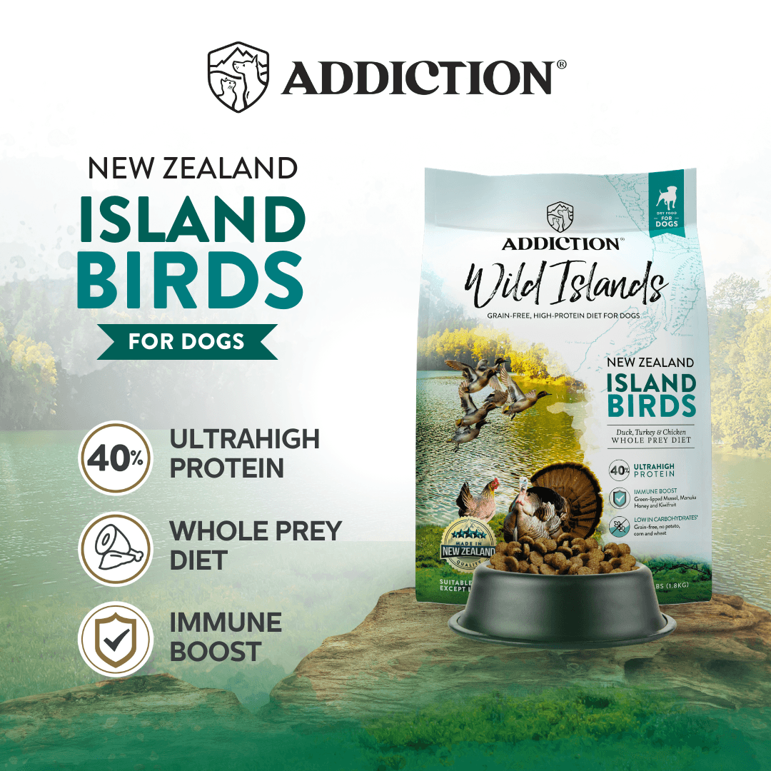 Addiction Wild Islands Bird Premium Duck Turkey & Chicken Dry Dog Food - Pack of 12 - Addiction Pet Foods USA