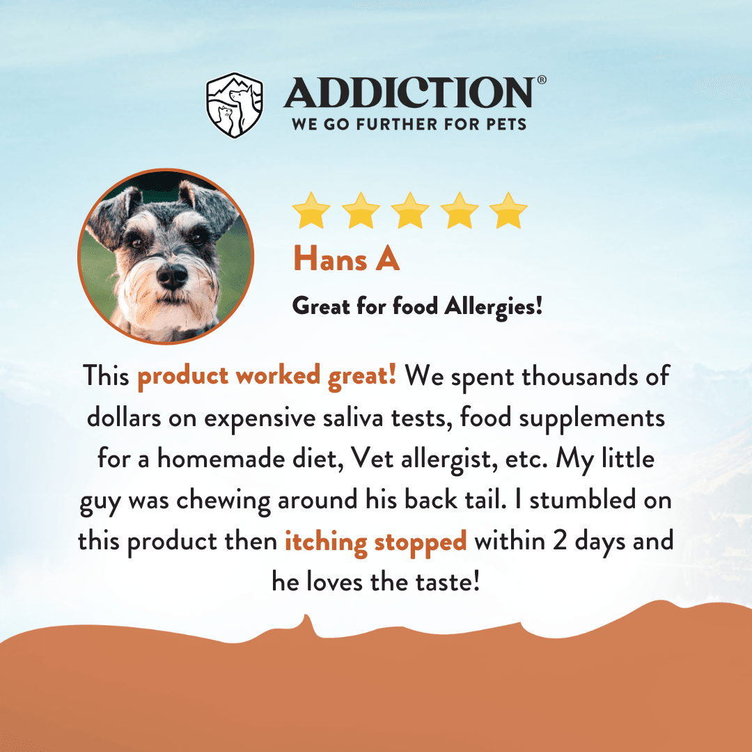 Addiction Wild Kangaroo Dry Dog Food & Meaty Bites Dog Treats Bundle - Addiction Pet Foods USA