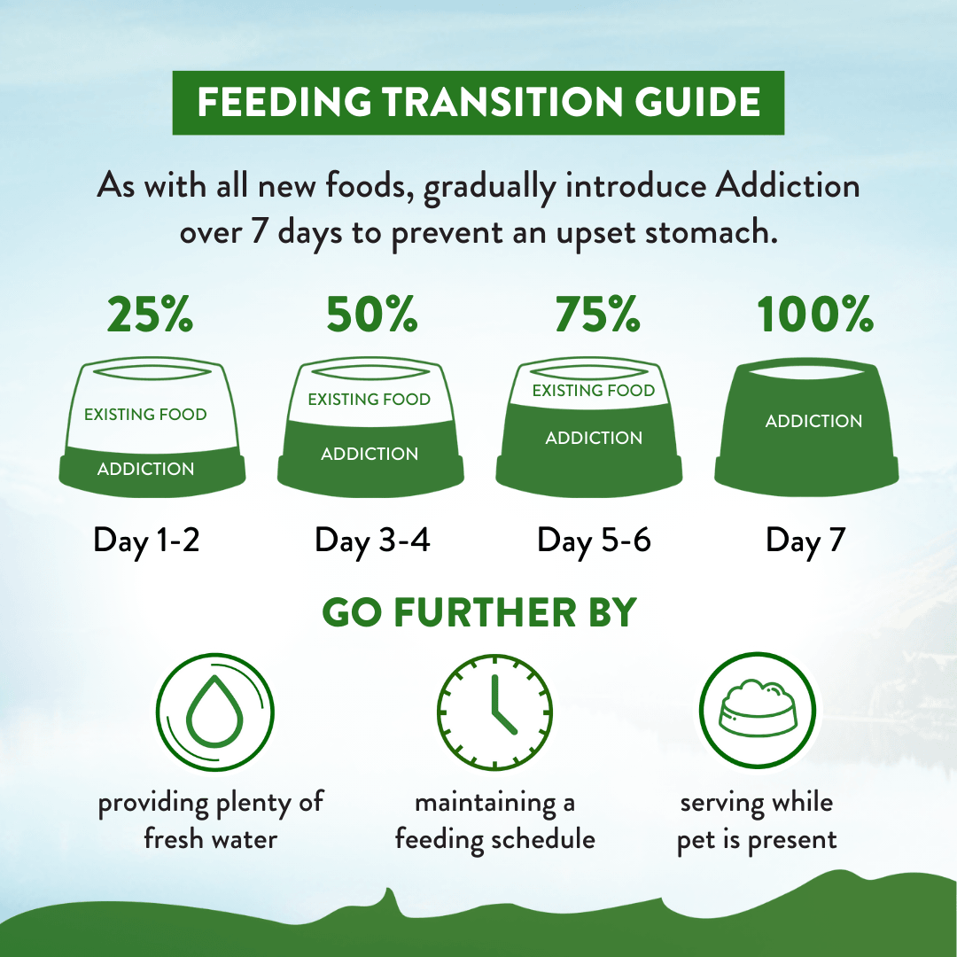 Addiction Zen Vegetarian Dog Food & Vegan Treats Bundle - Addiction Pet Foods USA