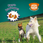 Addiction Zen Vegetarian Dog Food & Vegan Treats Bundle - Addiction Pet Foods USA