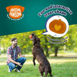 Addiction Zen Vegetarian Dog Food & Vegan Treats Bundle - Addiction Pet Foods USA