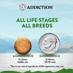 Addiction Zen Vegetarian Dog Food & Vegan Treats Bundle - Addiction Pet Foods USA
