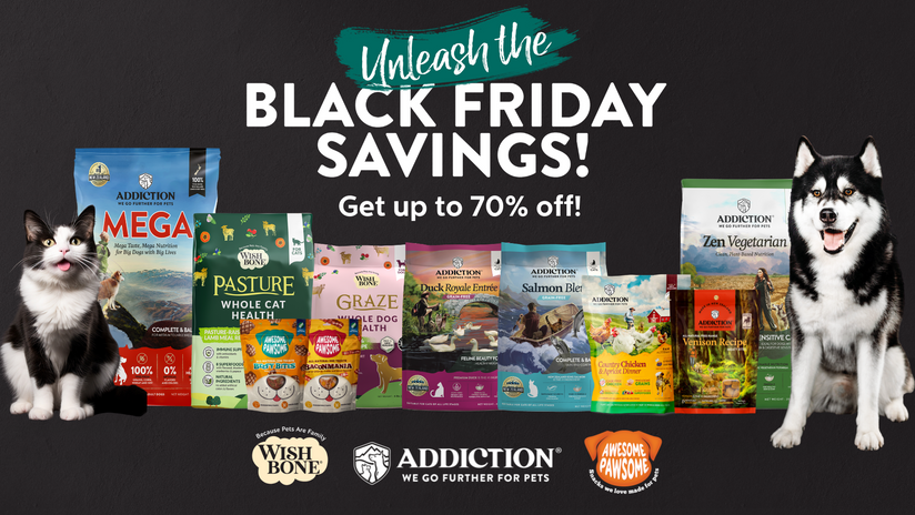 Dog food black friday best sale